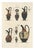 Albert Genick, Greek Jugs with Classical & Winged Figures, 1883, Lithograph For Sale