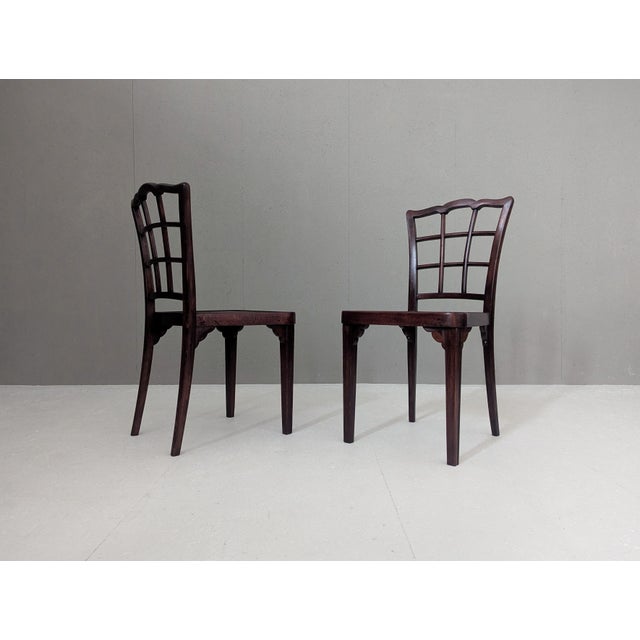 Vintage A 562 Chairs by Gustav Siegel for Thonet, 1930s, Set of 2 For Sale - Image 6 of 15