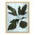 Kadota by Susan Hable For Sale