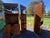 Traditional Henredon Solid Red Oak Corner Curio Cabinet For Sale - Image 3 of 10