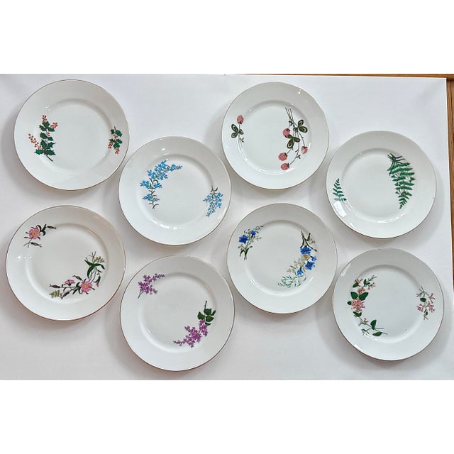 Antique Limoges Plates – Cabinet Plate - Signed “F.M.” (1880–1882) – Set of 8 Set of eight hand-painted porcelain dessert...
