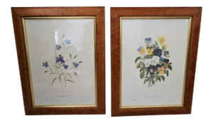 Vintage Burlwood Framed Botanical Print Pierre-Joseph Redoute - a Pair