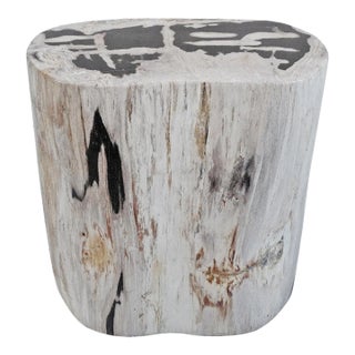 Petrified Wood Vintage Stump Side Table For Sale