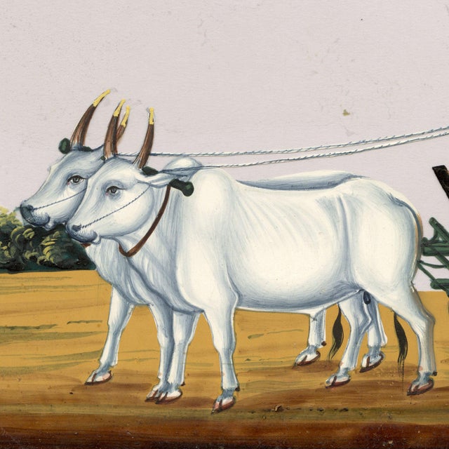 Indian Company School, Palki Gharry, 1800s, Gouache on Paper For Sale - Image 3 of 9