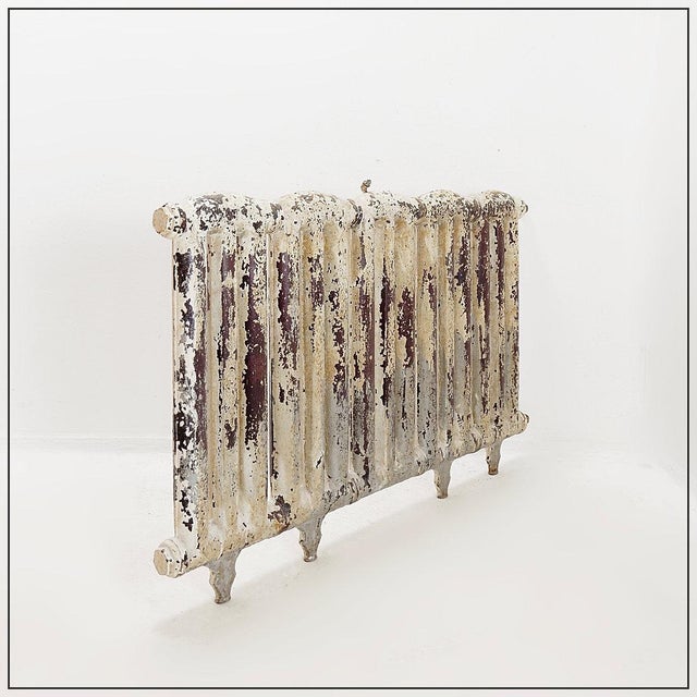 Victorian Cast Iron Radiator with Leafy Branches and Flowers, 1890s For Sale - Image 16 of 16