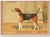 Late 19th-century English sporting lithograph depicting Belvoir Dexter (1885), rendered after the work of British animal...