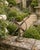 A beautifully crafted iron armillary sphere, evoking the timeless elegance of classical European gardens. Pieces like this...