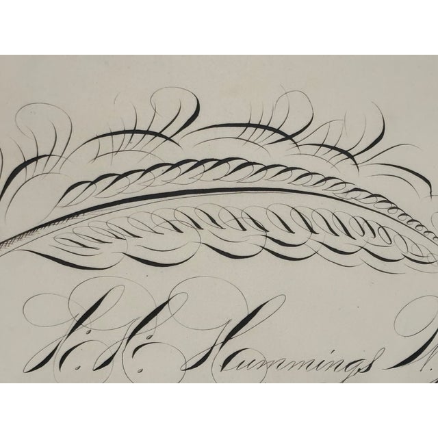 19th Century American Spencerian Calligraphy Penmanship Feather Flourish, Framed For Sale - Image 4 of 10