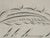 19th Century American Spencerian Calligraphy Penmanship Feather Flourish, Framed For Sale - Image 4 of 10