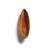 The wreck of a boat at the bottom of the sea; the leaf of a tree lying on the ground; the berry of an exotic plant; a...