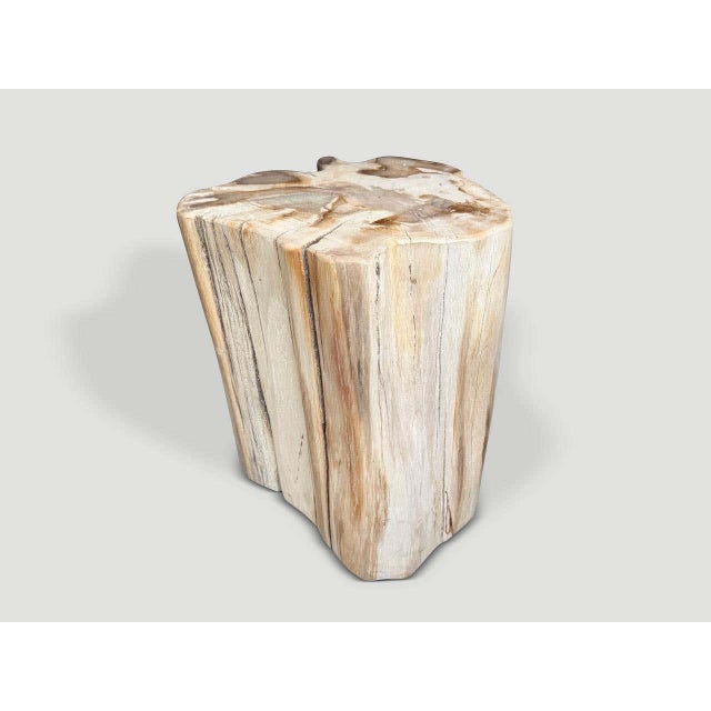 2010s Andrianna Shamaris Impressive High Quality Ancient Petrified Wood Side Table For Sale - Image 5 of 5