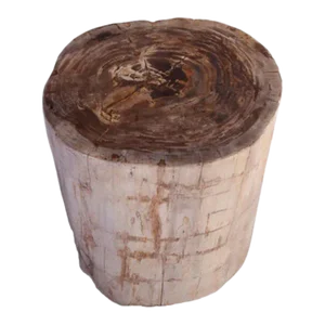 Petrified Wood Stool Accent Table 213