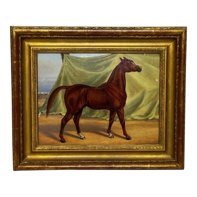 English Victorian Sporting Oil Painting of an Arabian Horse in the Bombay Stables, India, c.1900 For Sale