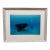 Brian Skerry First Encounter Southern Right Whale Photograph, Signed For Sale