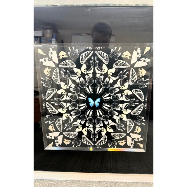 Laitan Home Decorations Butterfly Print Art Work, Framed For Sale - Image 4 of 12
