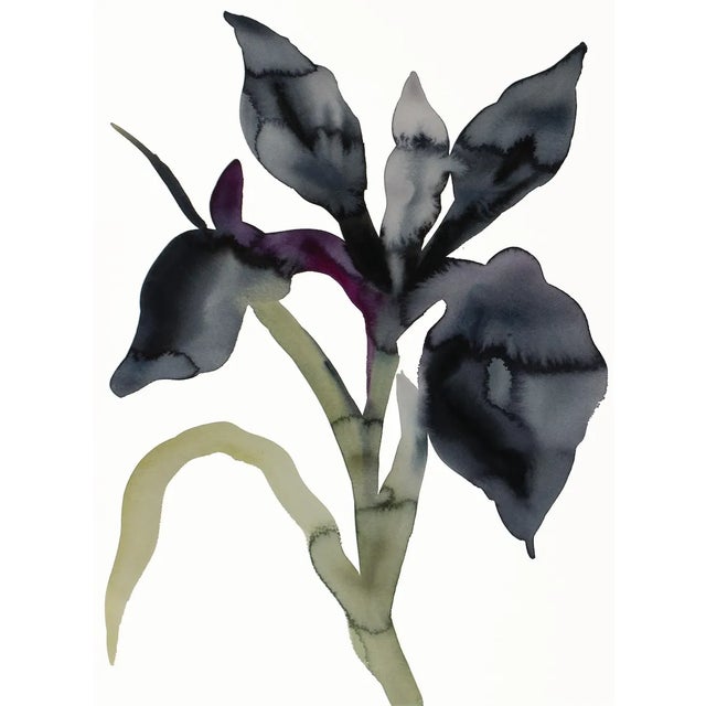 Contemporary "Iris No. 206" Contemporary Original Botanical Flowers Watercolor Painting by Elizabeth Becker For Sale - Image 3 of 3