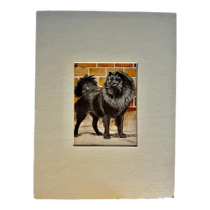 Vintage Chow Chow Dog Print