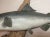 Vintage Handmade Eg Carved Wood Silver Wall Fish Mount Trophy Sculpture For Sale - Image 10 of 16