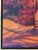 Red Nancy Paris Pruden "Orange Light" Contemporary Naturalistic Forested Nature Path Landscape Painting, 2020s For Sale - Image 8 of 11