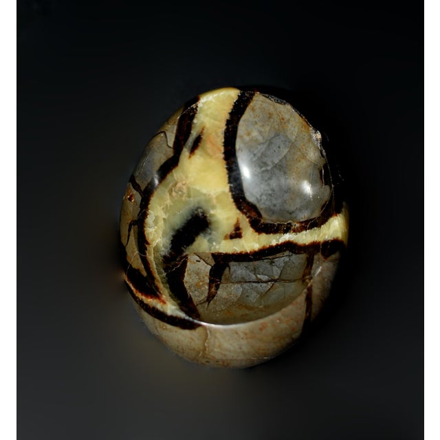 Septarian Bowls African Gemstone With Yellow Crystals Set of 2 For Sale - Image 12 of 12