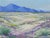 Rustic Mid 20th Century Flowering Desert Landscape Painting For Sale - Image 3 of 8