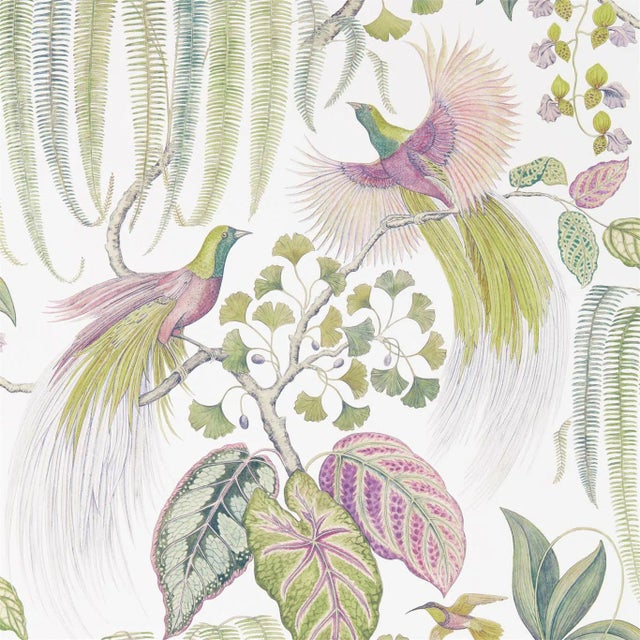 Sanderson Bird of Paradise Wallpaper in Orchid - a Sample For Sale