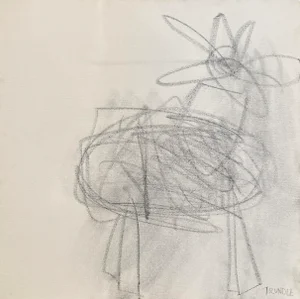 Sarah Trundle, Contemporary Abstract Graphite Drawing on Canvas "Flower Study in Charcoal"
