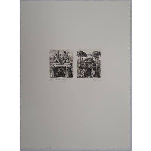 Francois HOUTIN 20th and 21st nymphaeum Original engraving on Lana vellum Signed in pencil lower right Numbered out of /...