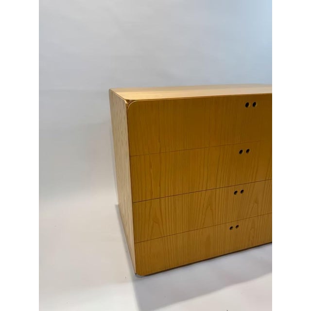 Chest of Drawers by Derk Jan de Vries for Maisa di Seveso, 1970s For Sale - Image 6 of 15