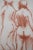 Antoniucci VOLTI (1871-1958) Nudes from Behind Original color lithograph On wove paper, 28 × 38 cm (approx. 11 x 15...