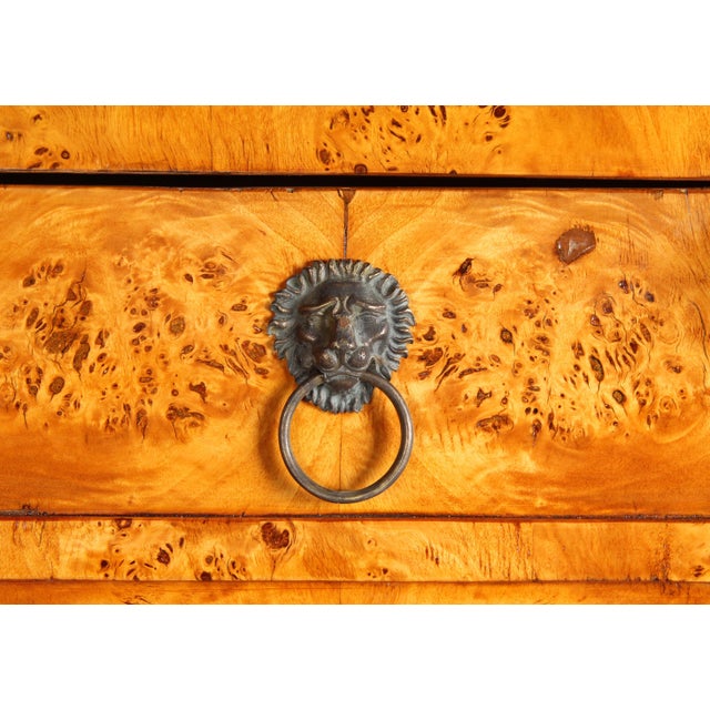 Tan Biedermeier Cabinets, Berlin, 1825, Set of 2 For Sale - Image 8 of 18