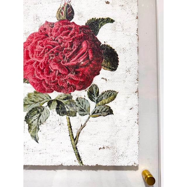 2020s Red Garden Rose - Hand Textured Vintage Rose For Sale - Image 5 of 6