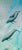 Contemporary Pair of Etched Glass Ocean-Themed Doors For Sale - Image 3 of 11