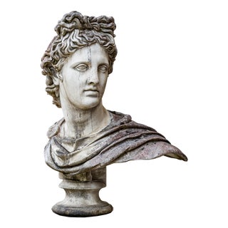 Unknown, Bust of the Apollo Belvedere, 2000s, Stone For Sale