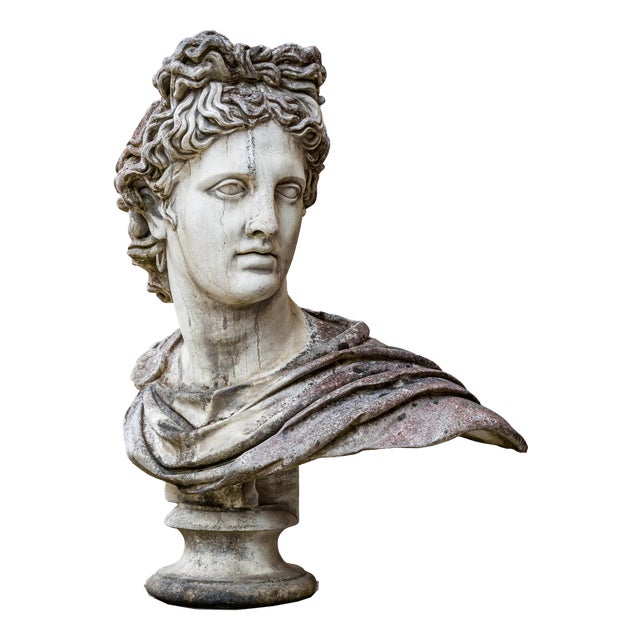 Unknown, Bust of the Apollo Belvedere, 2000s, Stone For Sale