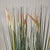 Early 21st Century Field Grass Drop-In 35" For Sale - Image 5 of 5