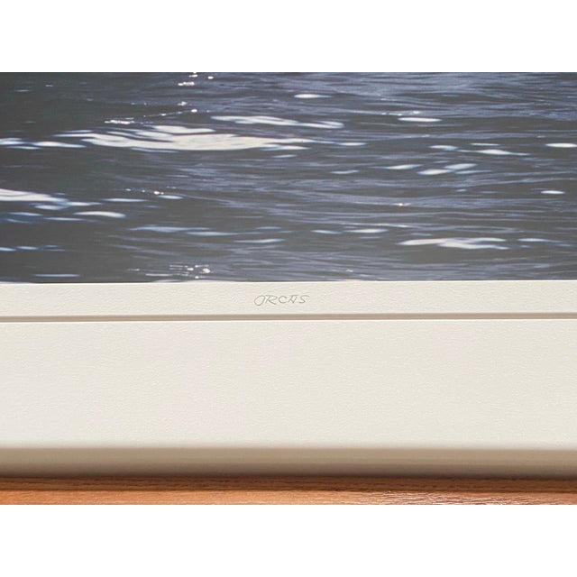 1990s 1990s Art Wolfe Signed Limited Edition 9/250 Photograph Orcas Sierra Club Oak Frame For Sale - Image 5 of 9