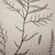 Framed Pair of Antique Sowerby Seaweed Prints | English Marine Botany For Sale - Image 11 of 12