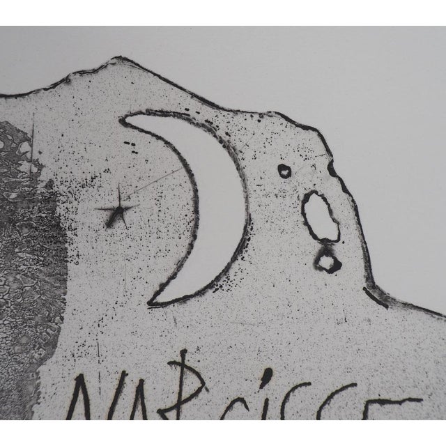 Pierre-Yves Trémois, Narcissus, Original Engraving For Sale - Image 5 of 7