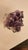 Gemstone Mid 19th Century Amethyst Cluster on Stand For Sale - Image 7 of 7