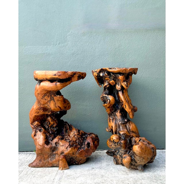 Vintage Japanese Twisted Root Pedestals - Set of Two For Sale - Image 12 of 12