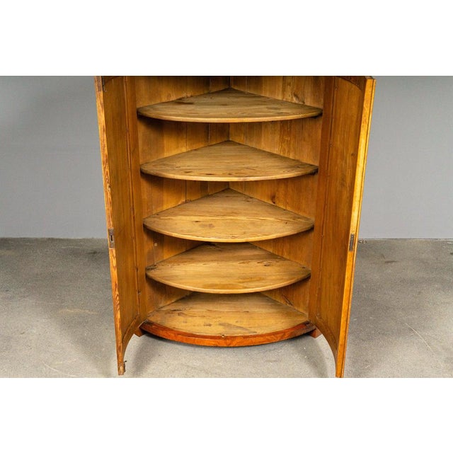 19th Century Biedermeier Corner Cabinet in Birch For Sale - Image 8 of 18