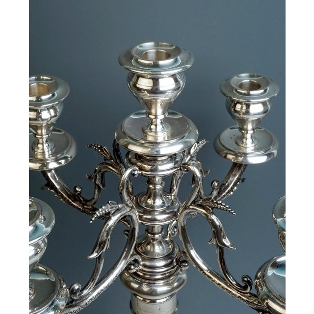 Viennese Art Nouveau Silver 5-Light Candelabra by Josef Kurzweil, 1900s For Sale - Image 3 of 8