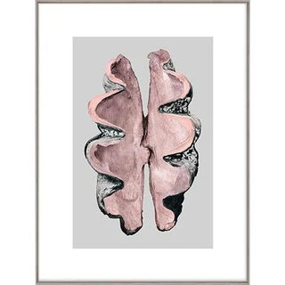 Victorian Shells 3 Art Print - Framed For Sale
