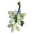 Vintage Polished Jade Green Grape Cluster For Sale