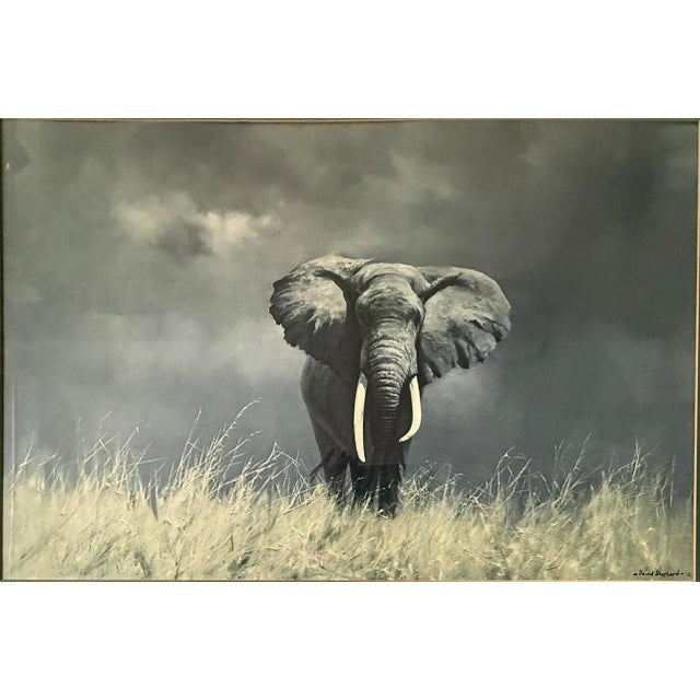 Large Vintage David Shepherd Wise Old Elephant Lithograph 37x27 For Sale - Image 4 of 11