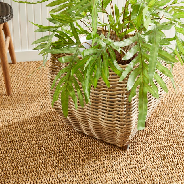 Sylvie Square Taper Basket Large For Sale In Chicago - Image 6 of 7