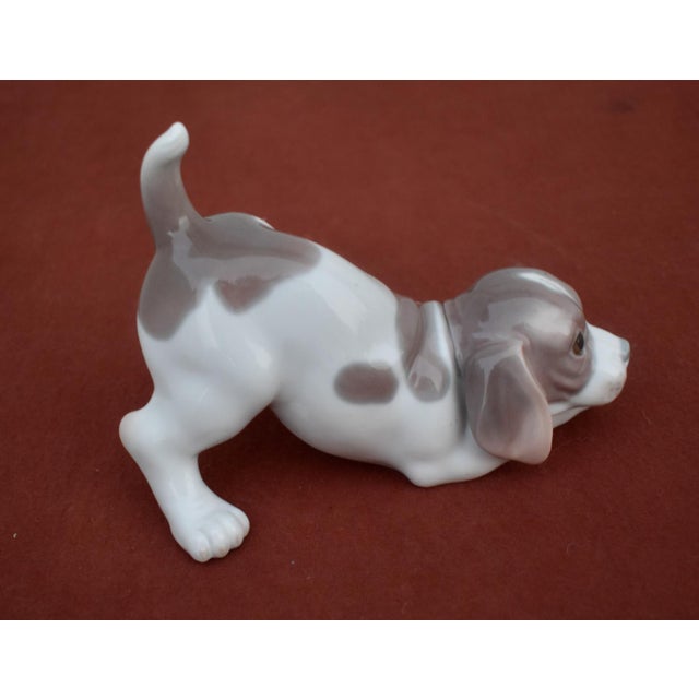 Lladro 1070 Playful Puppy Beagle Porcelain Figurine Glossy Retired Rare For Sale - Image 12 of 15