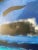 Large Abstract Painting, Peter Keil, 1960s For Sale - Image 10 of 12