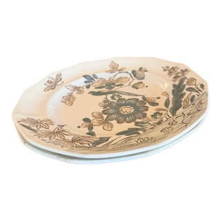 Vintage Adams India Parrot Gray Chinoiserie Ironstone Dinner Plates, Pair For Sale